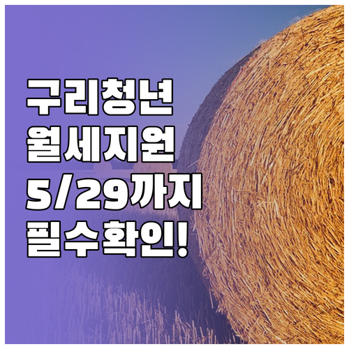 2026 구리시 청년월세 지원 조건 ..
