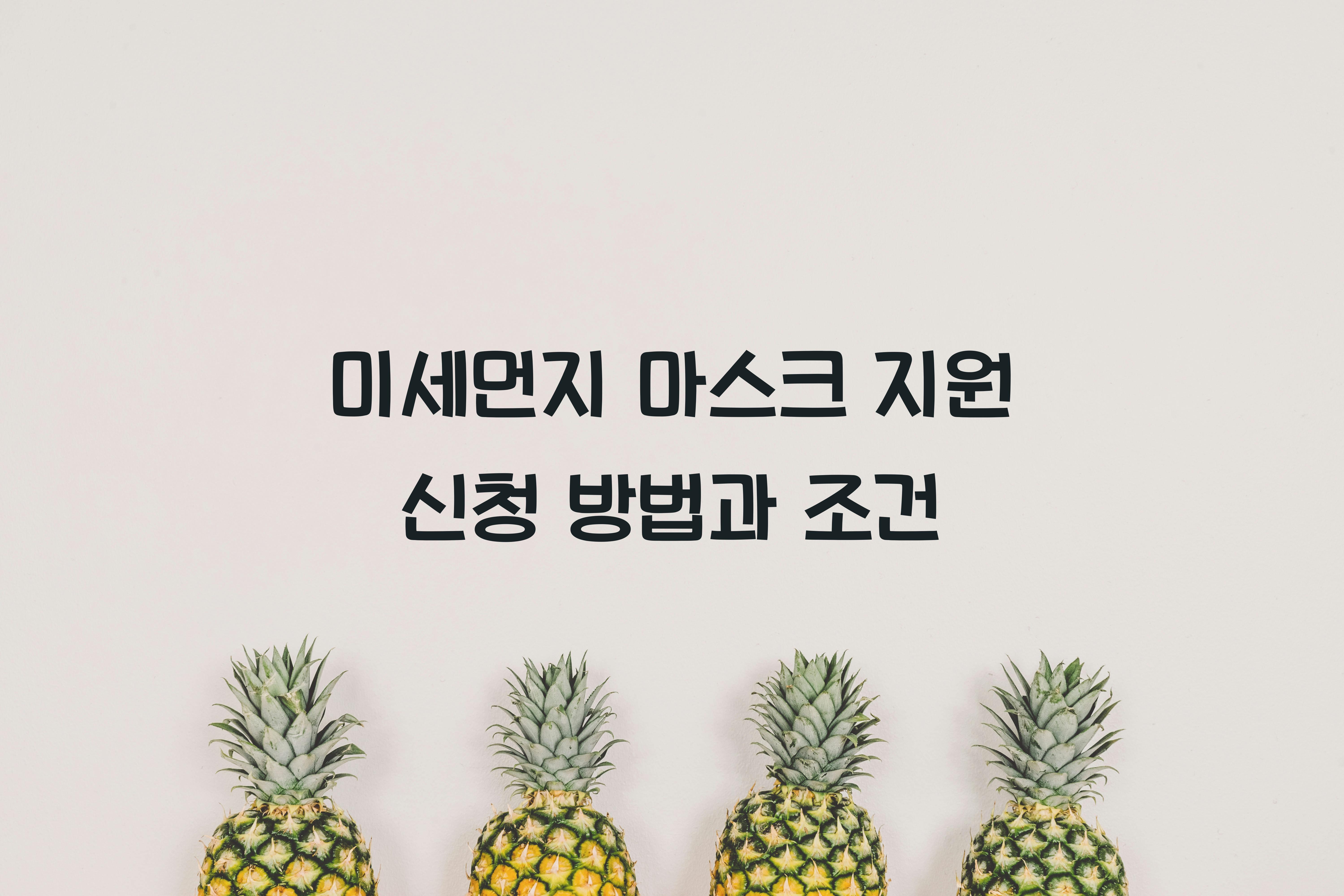 미세먼지 마스크 지원 신청