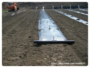 멀칭 필수 가이드 비닐 왕겨 볏짚 잡초 수분관리 효과_26