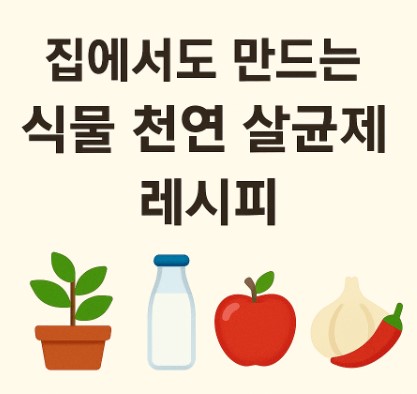 집에서도 만드는 식물 천연 살균제 레시피 사진