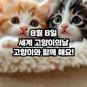 8월8일 고양이의 날