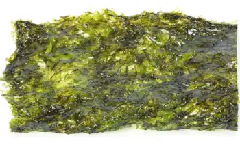 곱창김 가격 및 효능&amp;#44; 영양성분