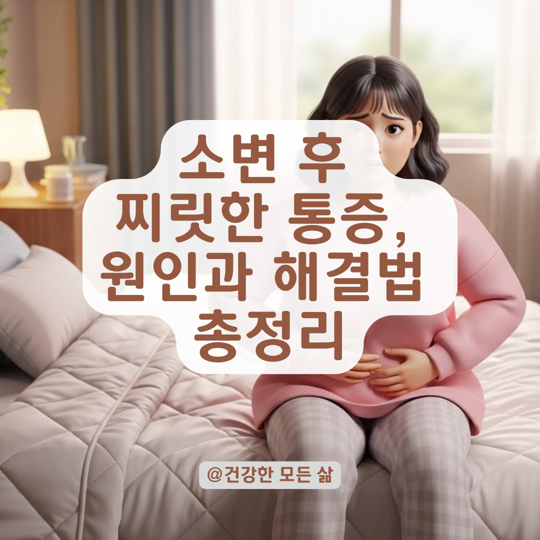 소변 본 후 찌릿한 통증, 방치하면 안 되는 몸속 염증 신호