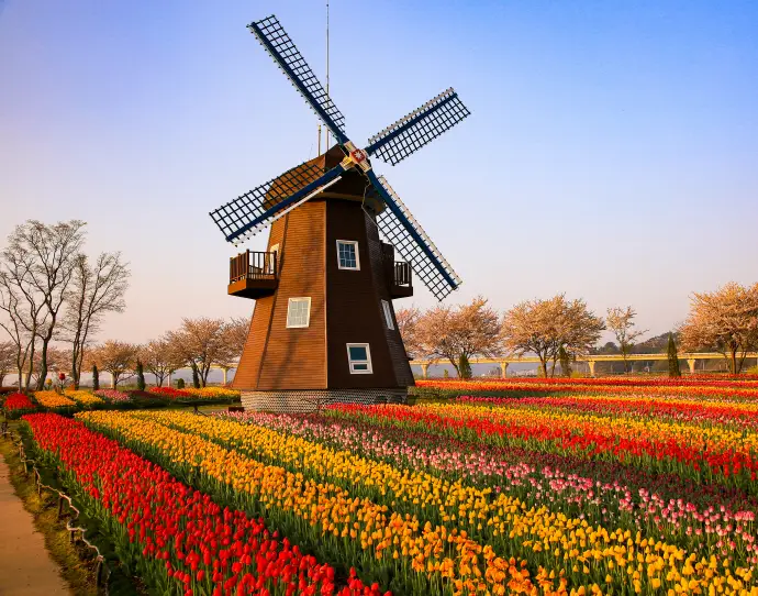 전남 봄나들이 가볼만한 곳3