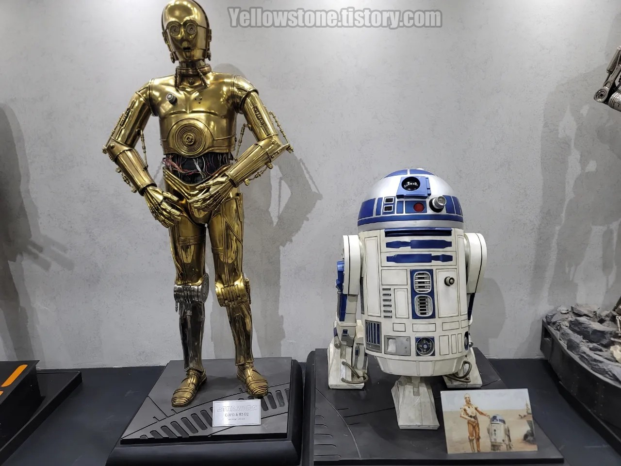 부산 근교 대구 경산 피규어 카페 CW 스타워즈