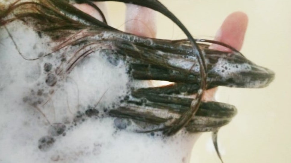 탈모 샴푸 디시