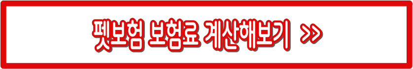 펫보험 비교 추천 총정리