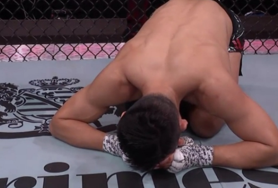 정찬성 할로웨이