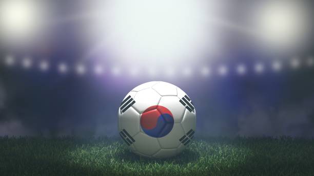 손흥민 에버턴전 사건