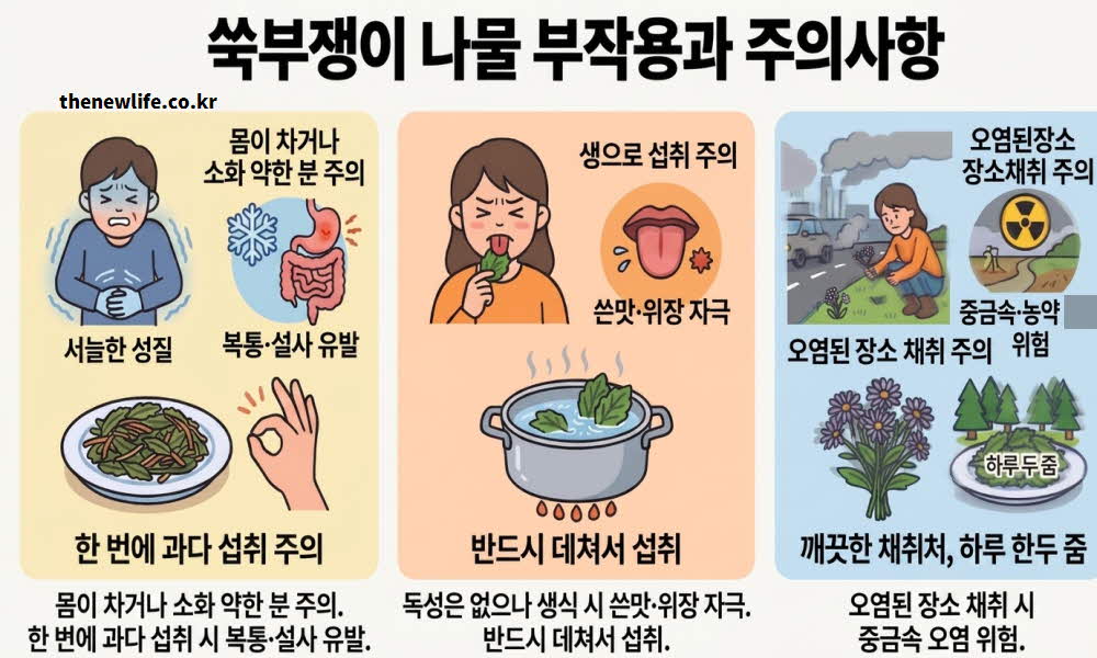 쑥부쟁이 나물 효능 부작용