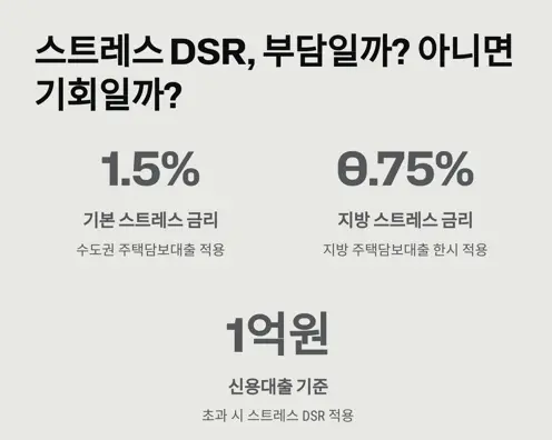 스트레스-DSR-3단계-시행