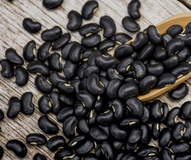 서리태 효능과 부작용 서리태 콩물 만드는 방법 총정리(24년 Ver)