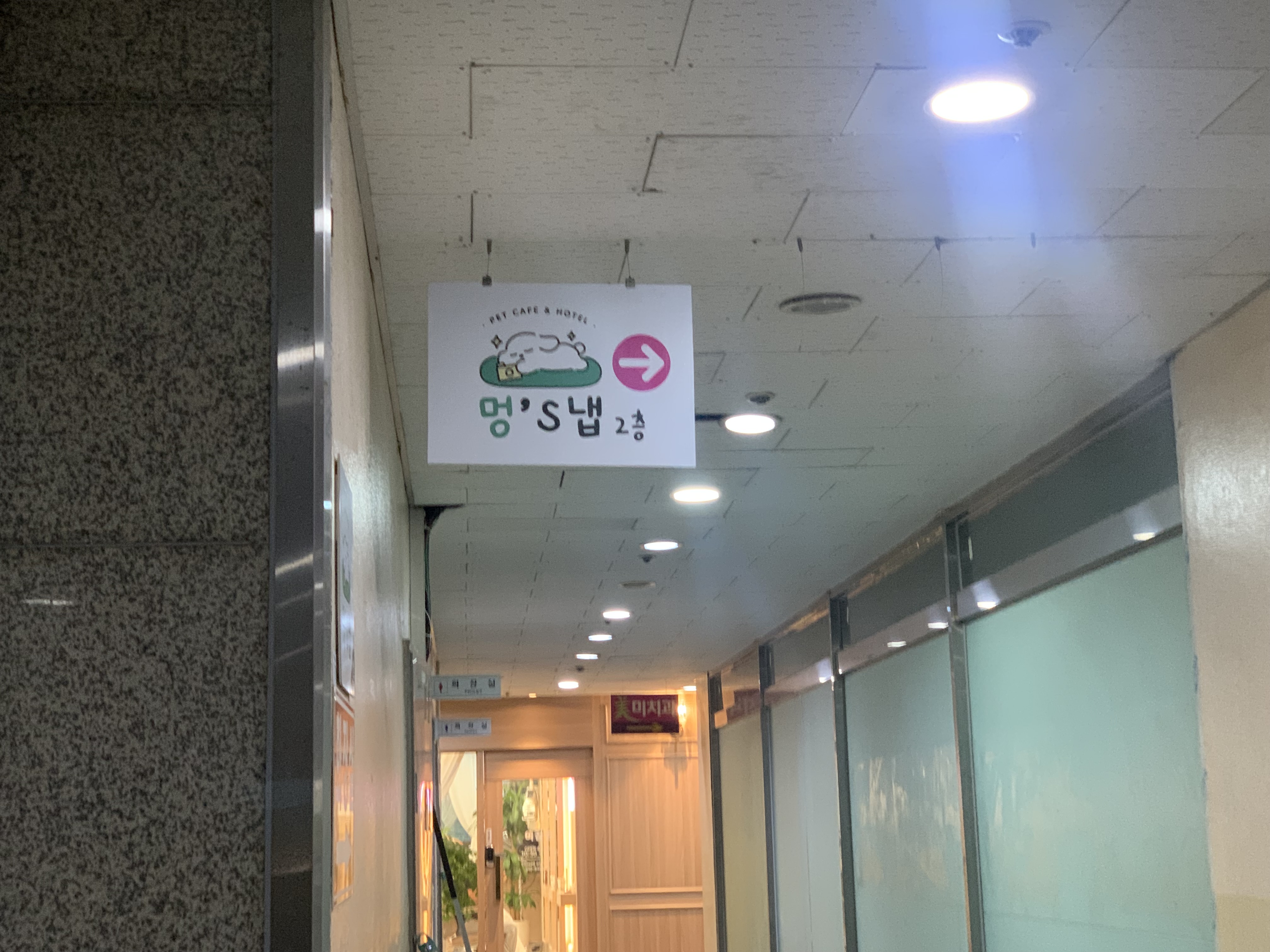 부천 부천시청 애견카페 애견유치원 애견호텔 멍스냅