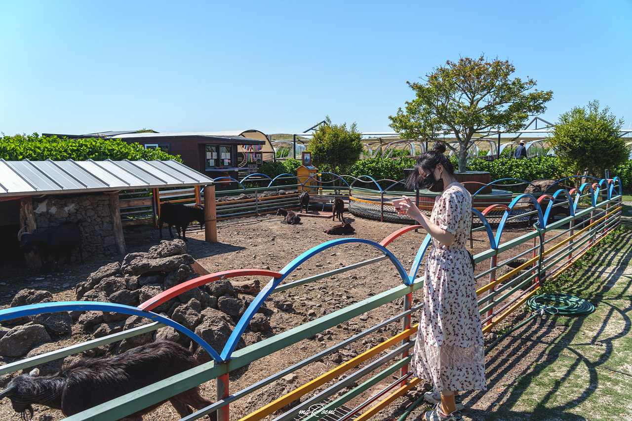 제주 레일바이크