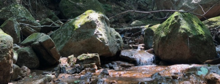 아름다운 계곡에 물흐르는 모습
