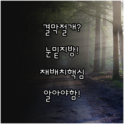 결막절개 방식으로 눈밑지방 재배치 할..
