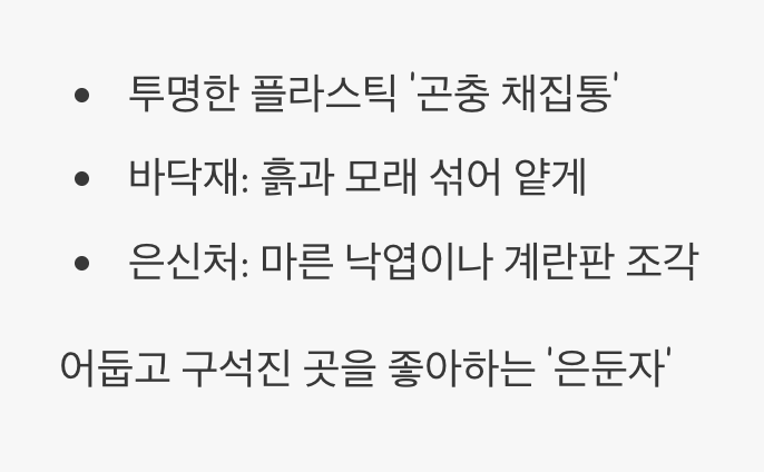 은둔자를 위한 아늑한 집