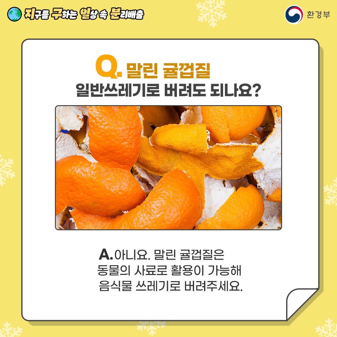 귤껍질 분리배출 사진