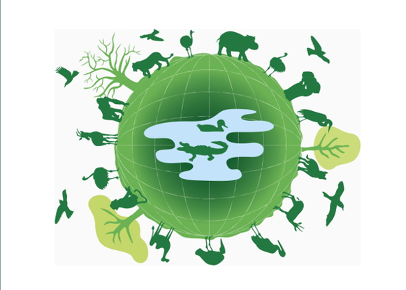 생물다양성 뜻 생물다양성협약 총회 보전 중요성