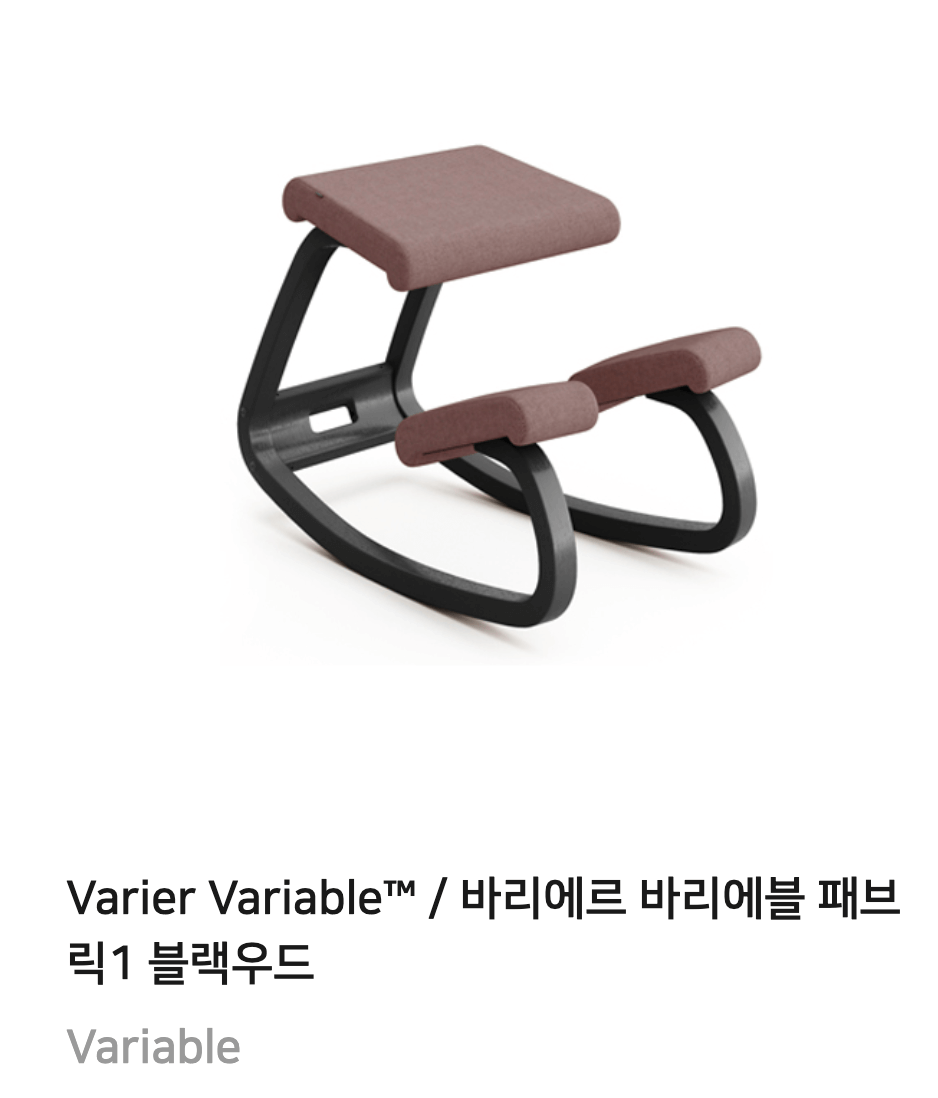 Varier 바리에르 의자 장시간 디스크 척추 자세교정 무릎의자