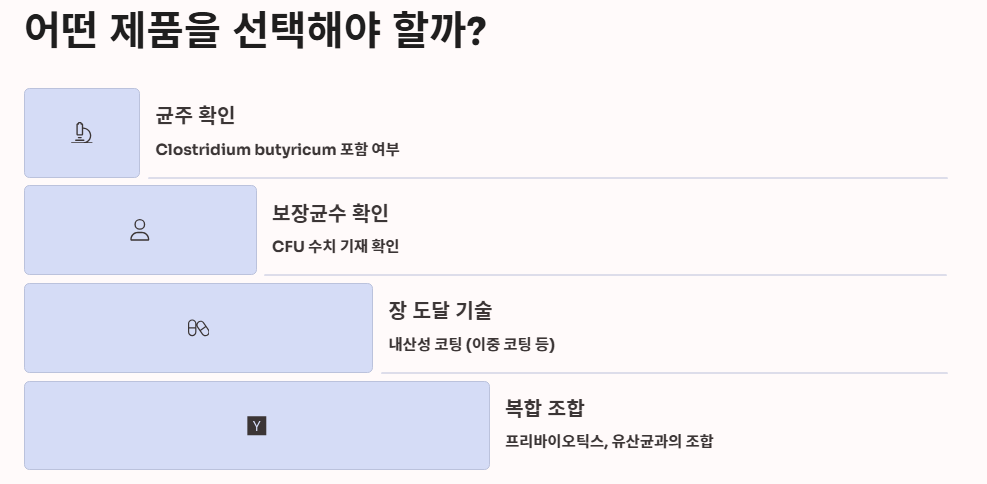낙산균 효능, 유산균 차이, 프로바이오틱스 조합 총정리