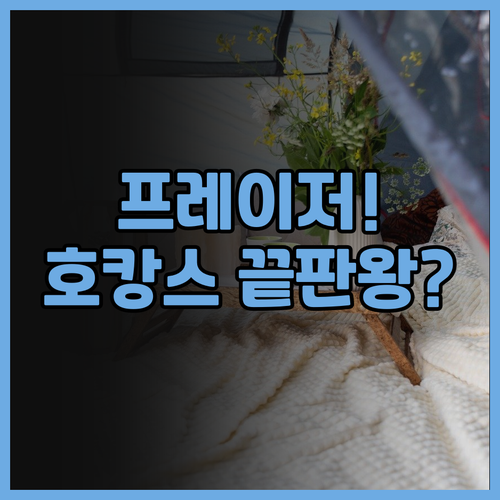 프레이저 스위트 다롄 후기 쇼핑 호캉..