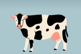 동물 꿈주제(소)