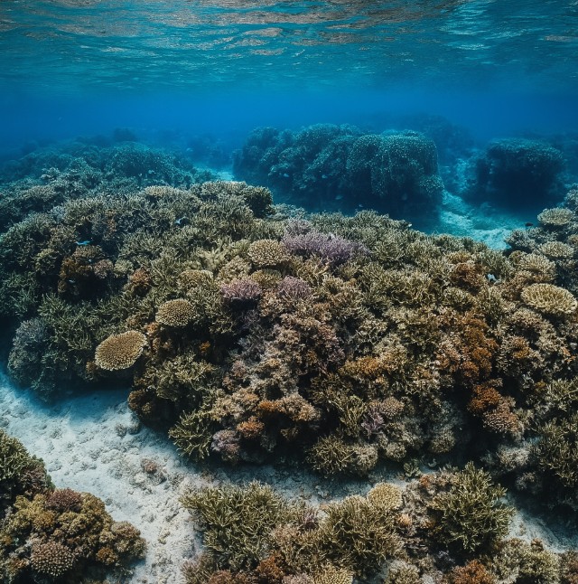 일본 미야코지마 요시노 해변의 이미지