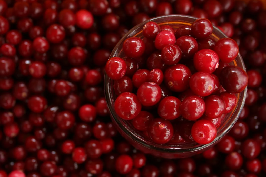 질건강을 위한 질세정제 사용방법, 생활습관, 유산균과 질건강을 위한 음식