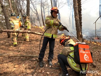 2025년 경북도 임업,산림 공익직접지불금 간편하게 신청하기