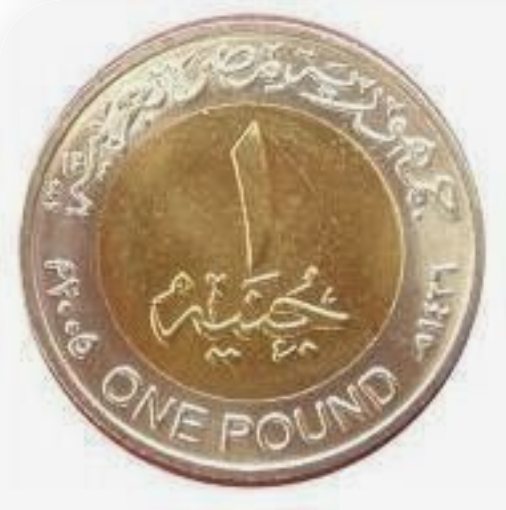 이집트 환율 환전 화폐단위