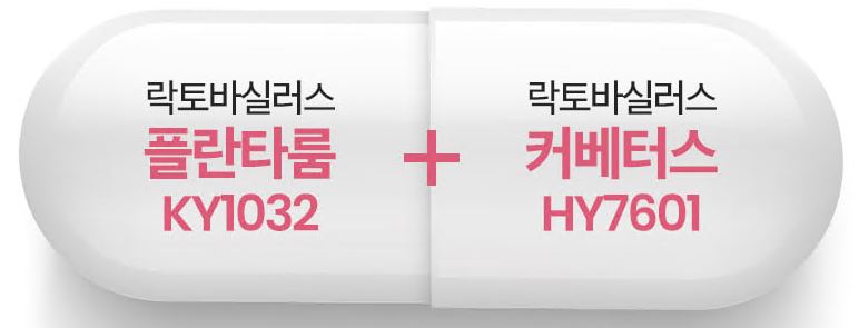 푸응유산균