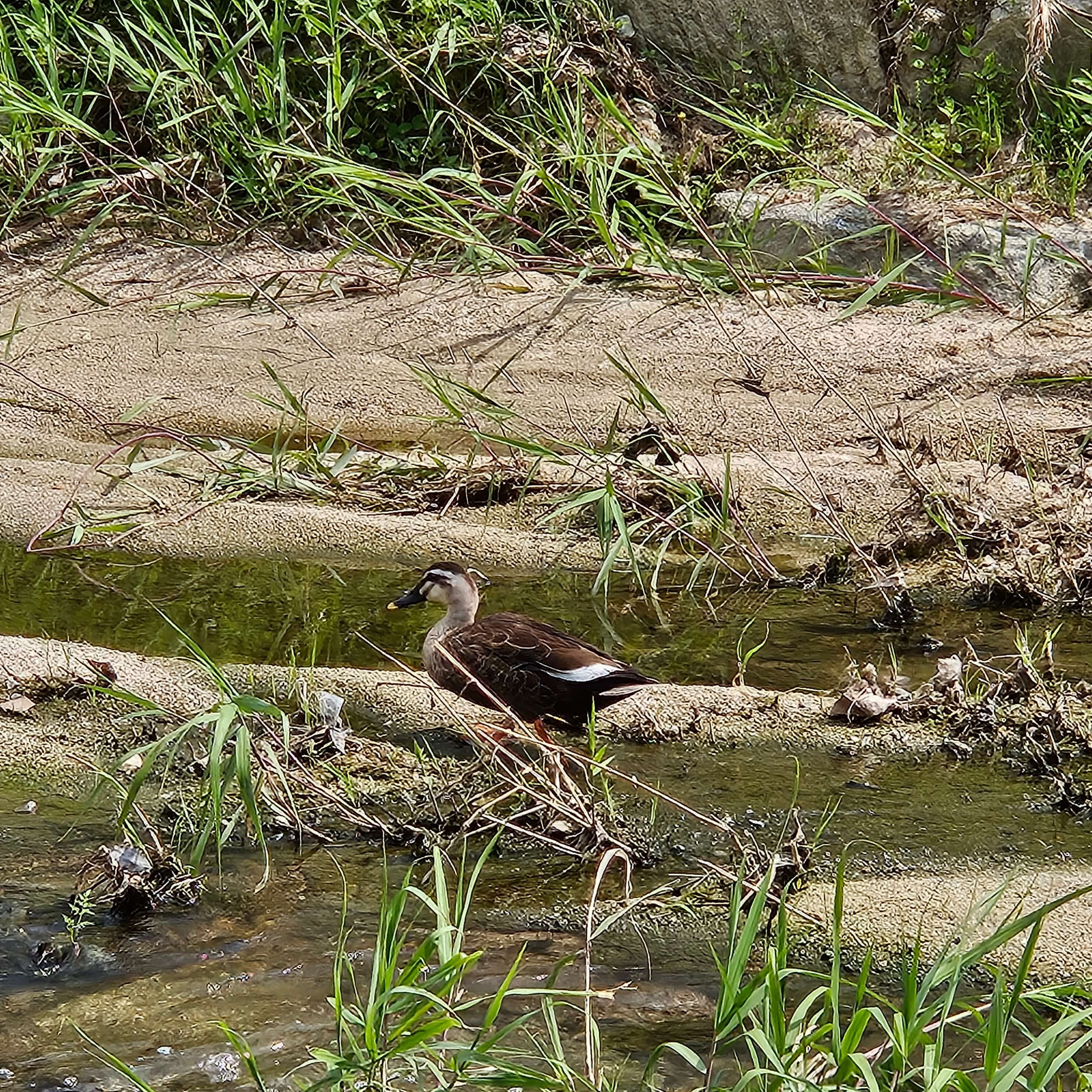 옥정호수공원, 낮과 밤이 다른 도심 속 힐링 산책 코스