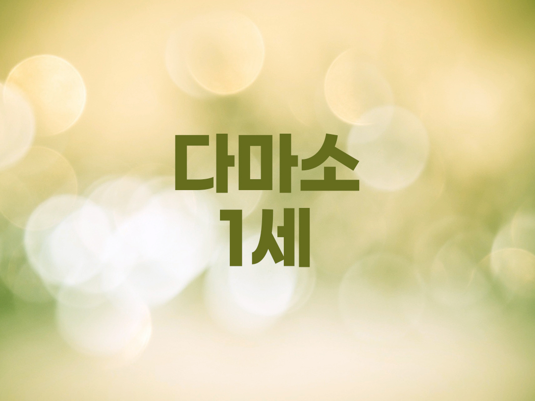 다마소 1세 천주교 남자세례명