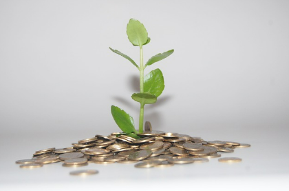 무상증자가 주가에 미치는 영향 , 무상증자란?