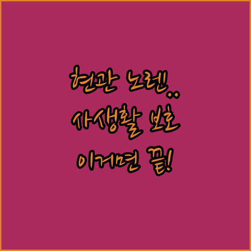현관 방문 노렌 문가림막 추천 제품 ..