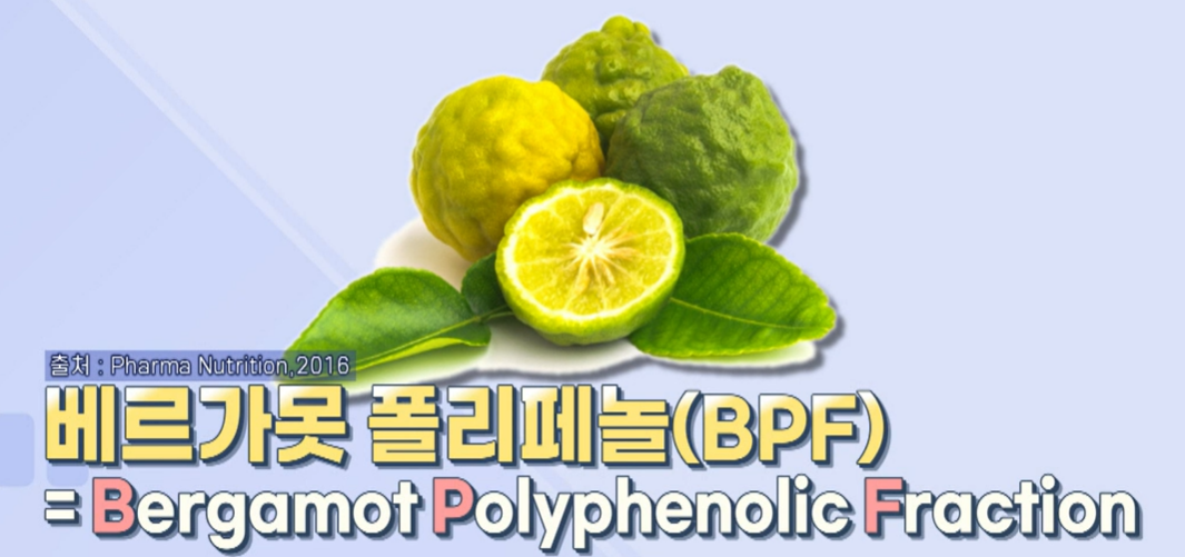 베르가못폴리페놀