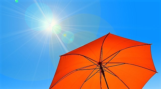 햇빛을 우산으로 가리는 사진