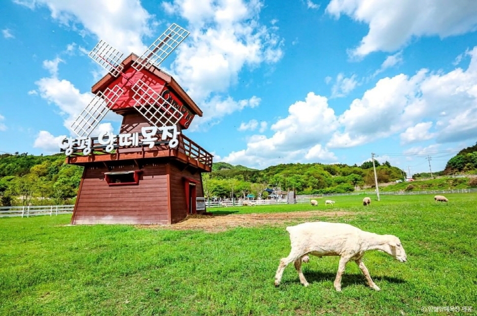 양평 가볼만한곳