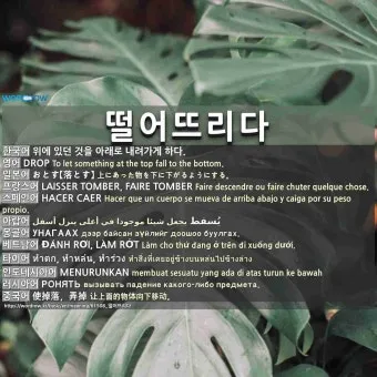 떨어뜨리다 떨어트리다 맞춤법 혼동 끝 예문으로 완벽 이해하기_26