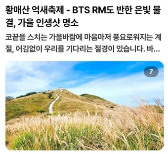 서울 억새축제 2025 일정위치 총정리로 안내_18