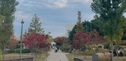 서울근교 단풍 명소 추천