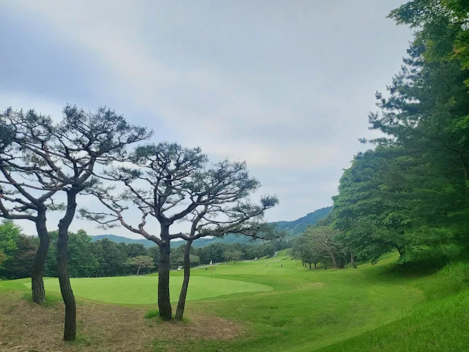블루원 용인 컨트리클럽 골프장 소개 및 예약방법