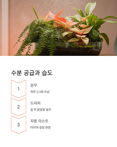 수분 공급과 습도 유지