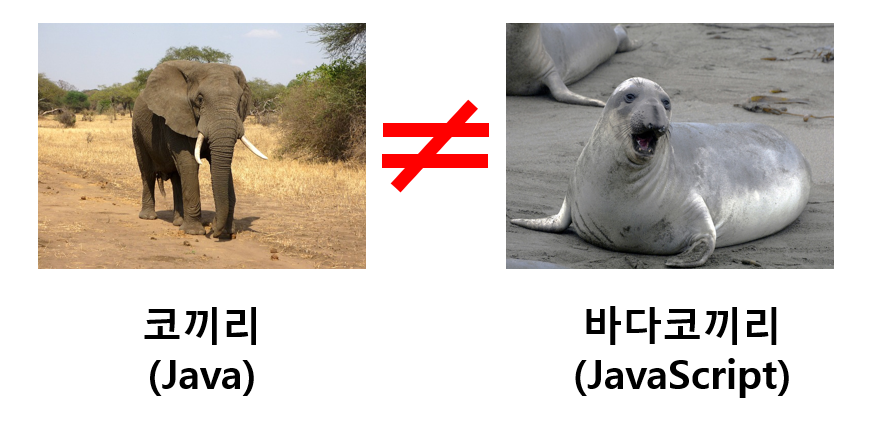 자바와 자바스크립트 차이