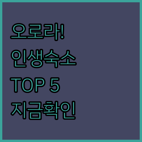 핀란드 라플란드 오로라 여행 추천 숙..