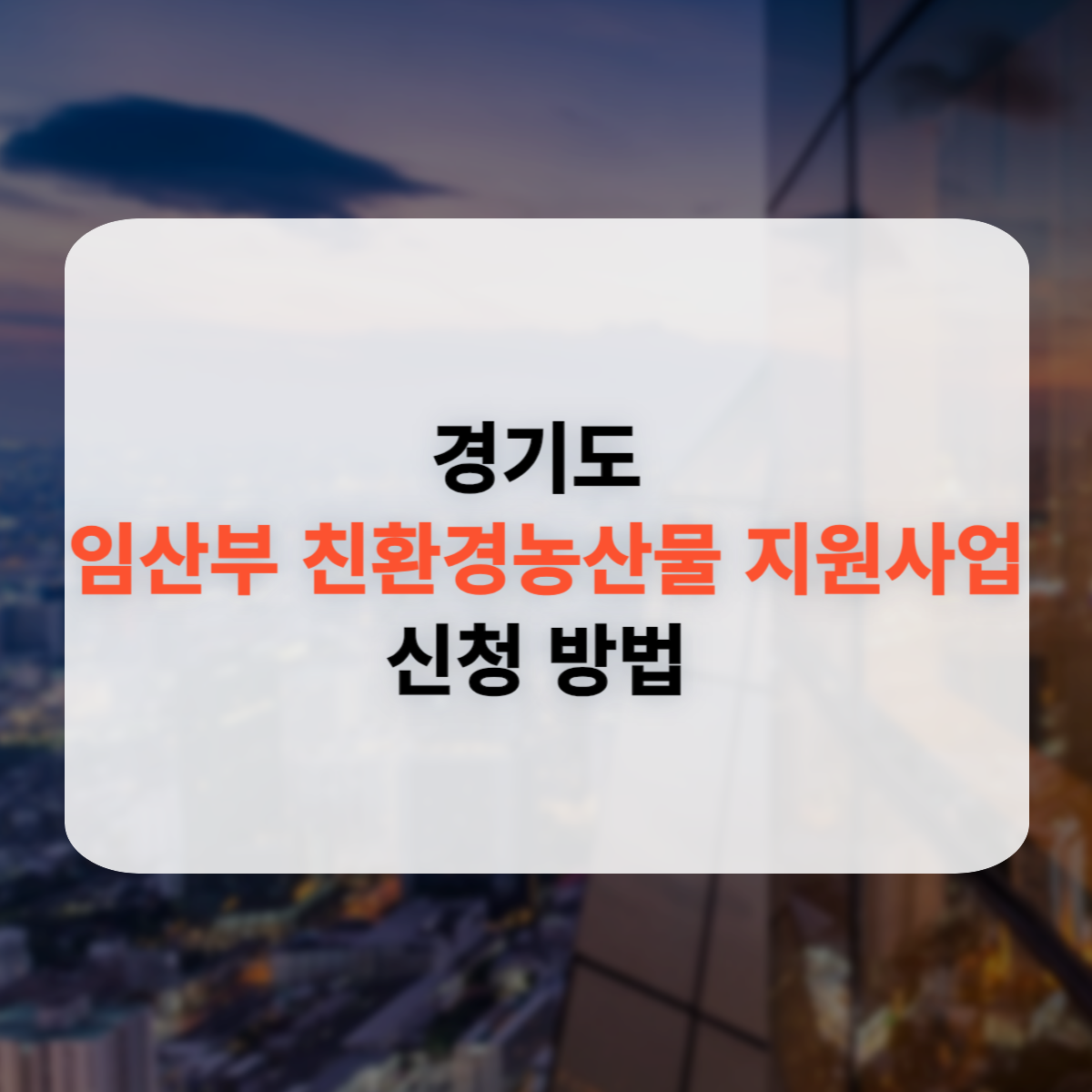 경기도 임산부 친환경농산물 지원사업 신청방법
