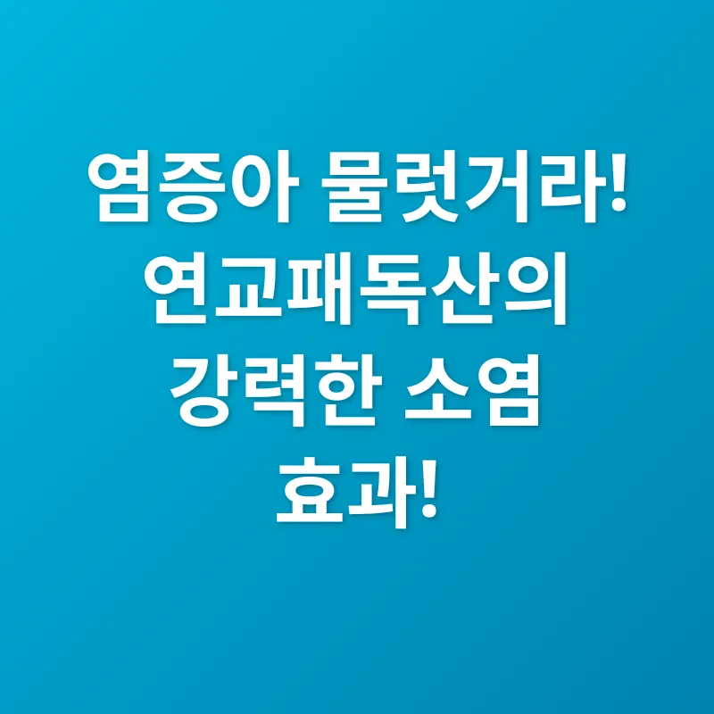 연교패독산 효능_1