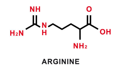 아르기닌 부작용&amp;#44; 아르기닌의 효능&amp;#44; 복용법 총정리 (2025ver)