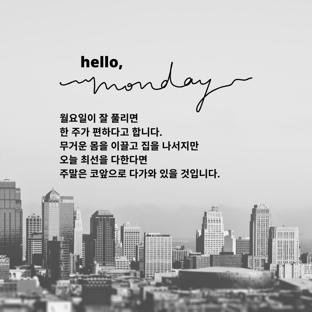 월요일 아침 인사말 이미지 문구 모음 글귀